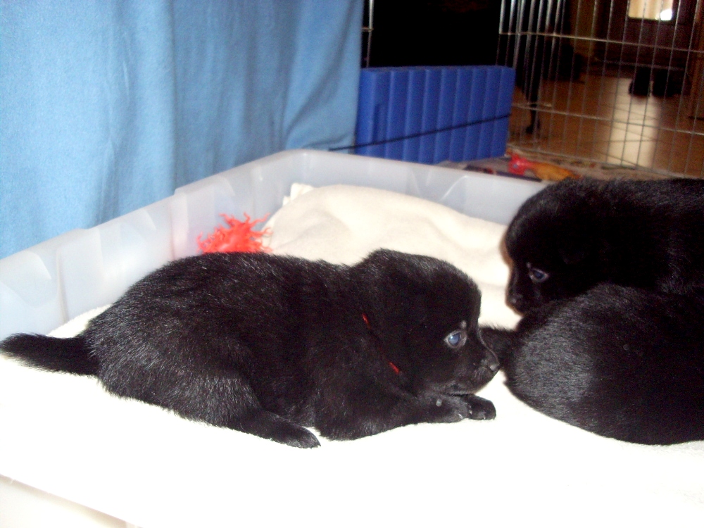 9.4.2010 (2).